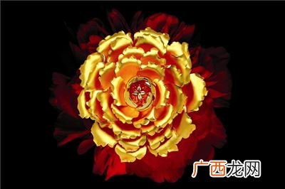 周大福为何比老凤祥贵,黄金四大一线品牌？