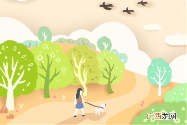 燕子在家做窝寓意什么,燕子为什么喜欢在人们屋里做窝啊？