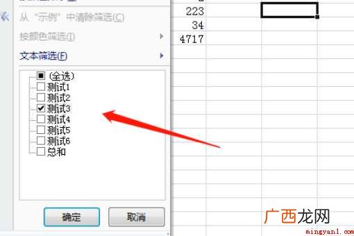 表格中如何筛选出信息