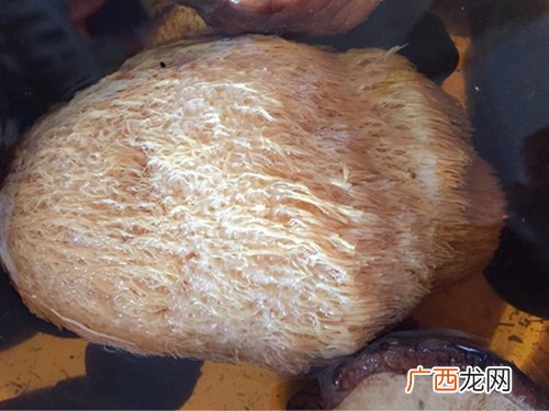 猴头菇怎么吃最养胃,猴头菇养胃汤的做法？