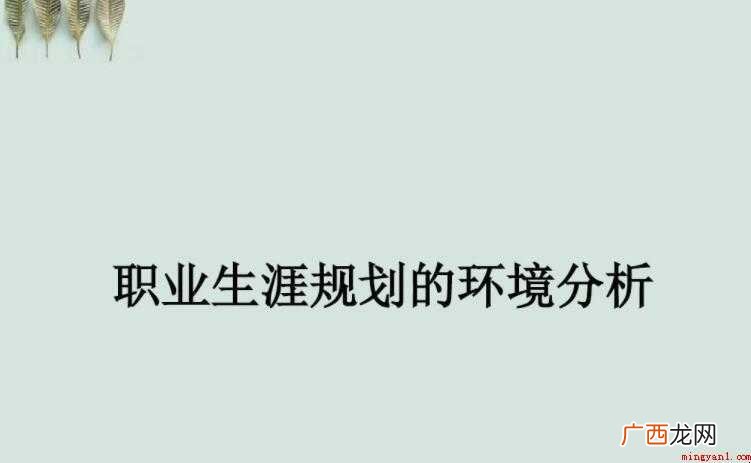职业生涯规划社会环境分析怎么写