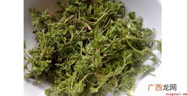 白蒿有哪些做法