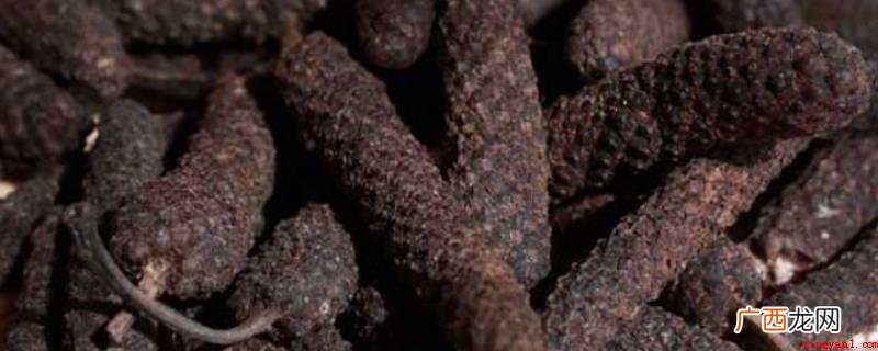 荜拨的香料在汤里作用