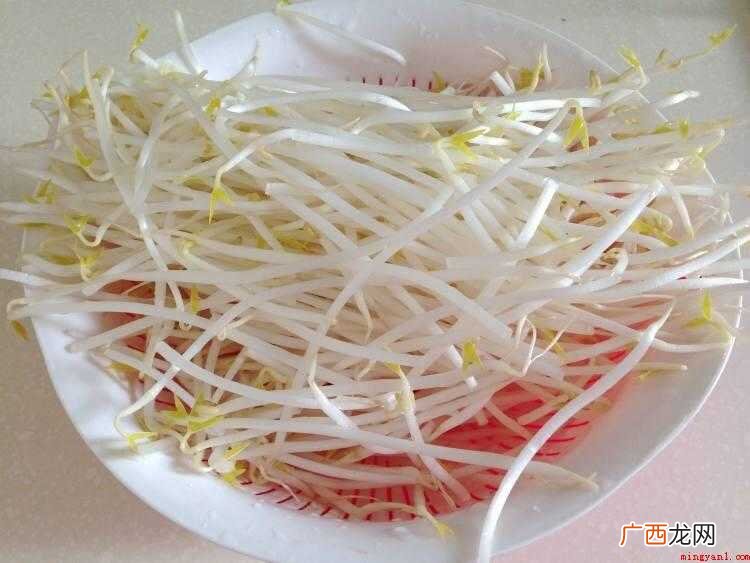 豆芽炒肉怎么做