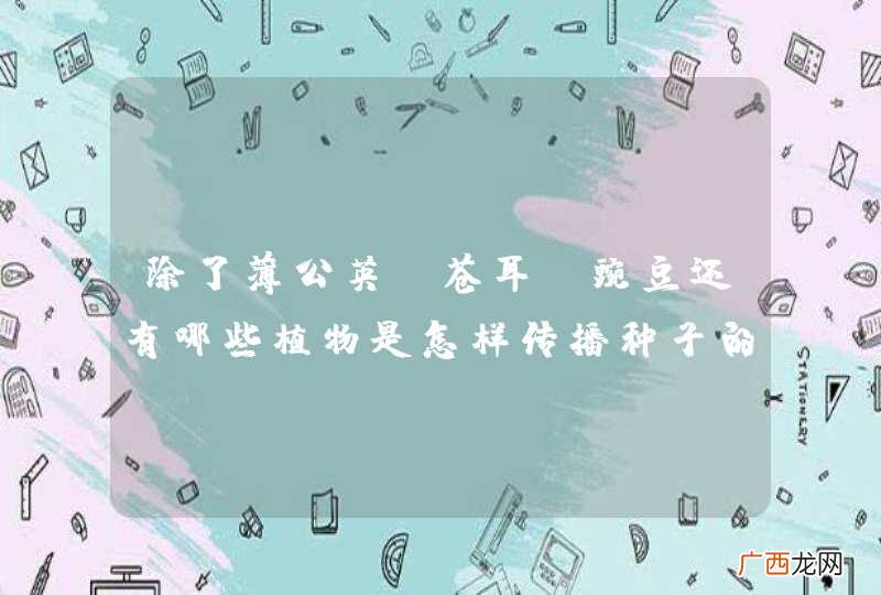 除了薄公英，苍耳，豌豆还有哪些植物是怎样传播种子的？
