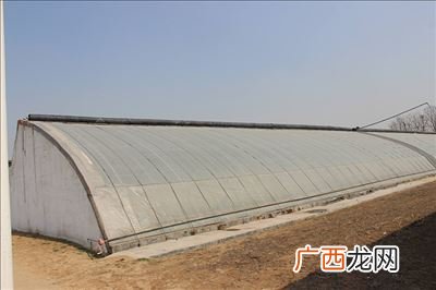 日光温室大棚造价多少,10米宽大棚60米长造价？