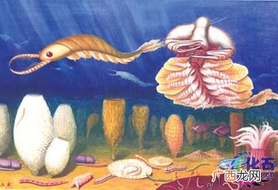 澄江动物群发现的意义是什么,10亿年前地球孕育的是什么细胞生物？