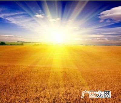 什么样的阳光,什么样的什么填空词语?