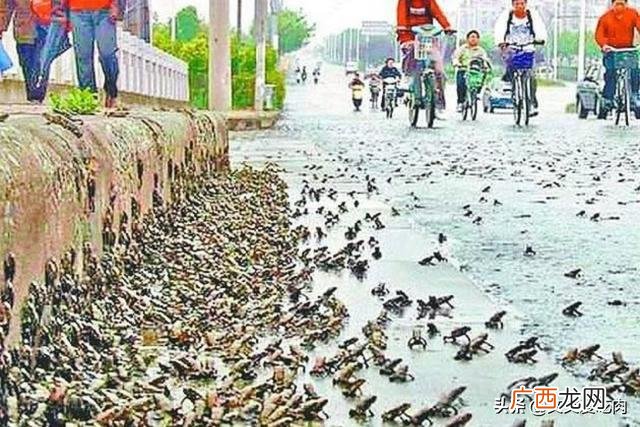 预防地震小常识,预防地震的方法和措施防范?