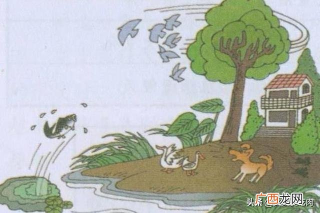 预防地震小常识,预防地震的方法和措施防范?