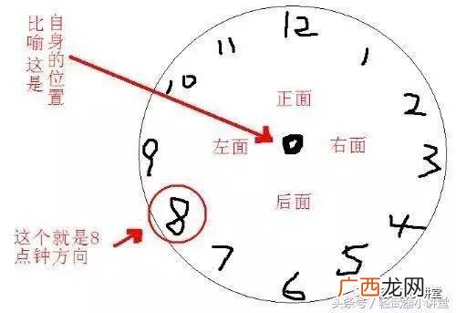 辰时是几点到几点钟的属什么,子、午、未、酉。分别是几点钟？