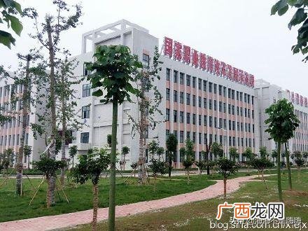陕西的特色风俗有哪些,陕西有哪些特色的传统文化？