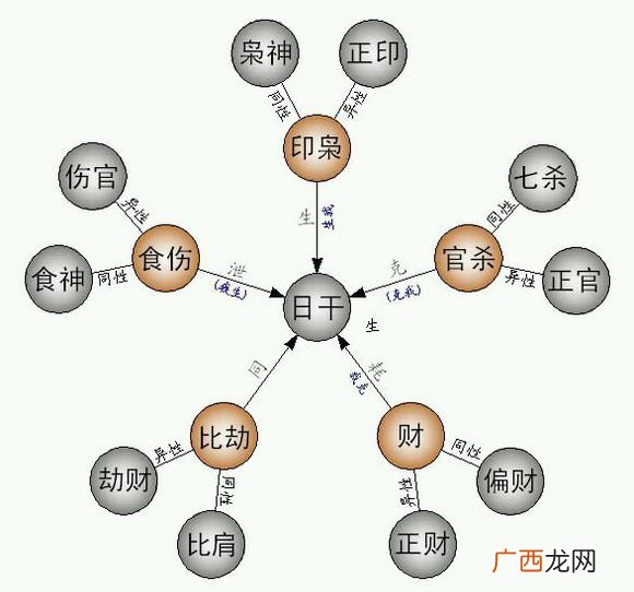 十神四柱是什么,元男代表什么？