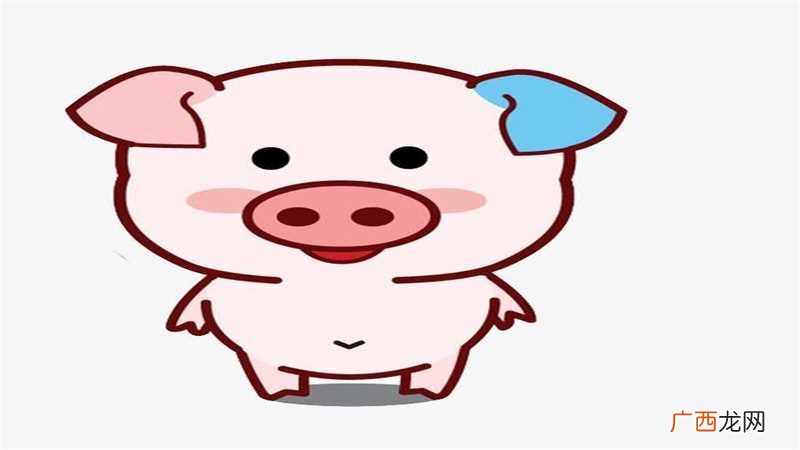 属猪人今年的运程如何