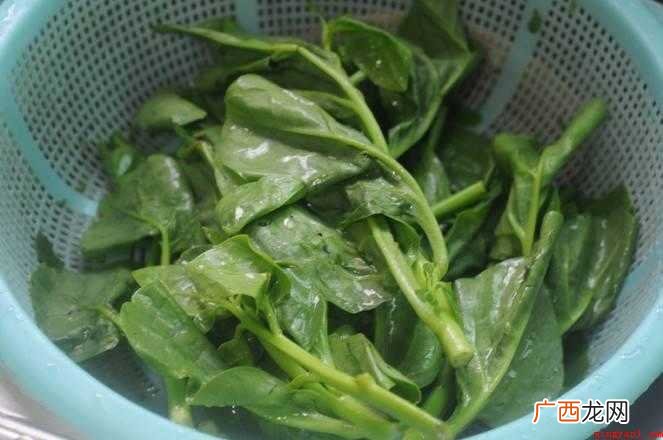 木耳叶子菜怎么做好吃