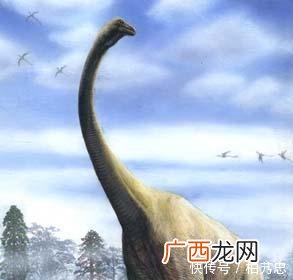 恐龙统治地球多少年,恐龙真的“统治”过地球吗？
