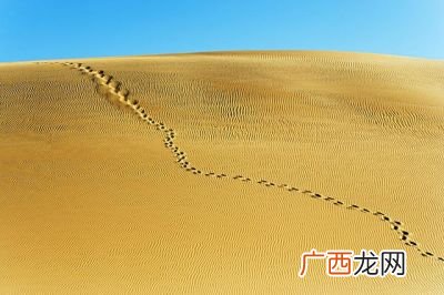 沙漠是怎么形成的,沙漠里的这么多沙子到底是从哪来的呢？