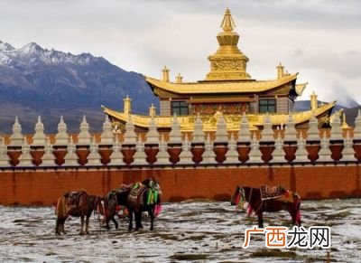 萨迦派的著名寺院,为什么甘南旅游线上的喇嘛庙多呢？