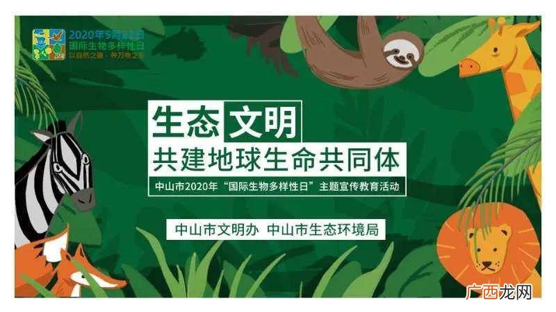 什么是生物多样性,生物种类多样性包括什么？