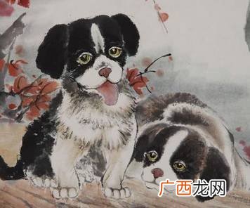 70年属什么生肖,70年生属什么？