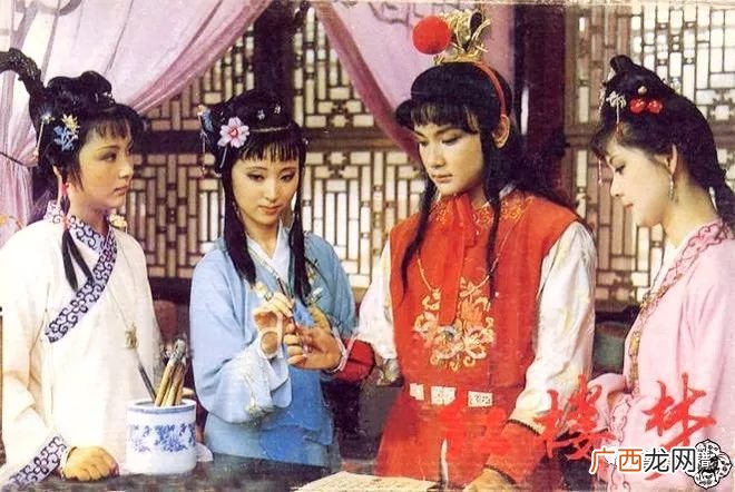 红楼梦这本书以什么为背景,红楼梦是什么文学体裁？