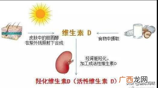 如何补充维生素d,吃什么补充维生素d?