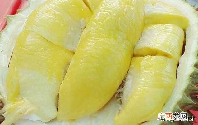 榴莲怎么挑选,怎样挑选榴莲以及榴莲存放的方法？