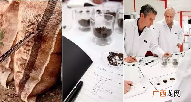 可可豆的特点,猫为什麽不能喝可可?