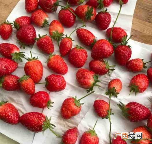 草莓吃不完怎么腌制