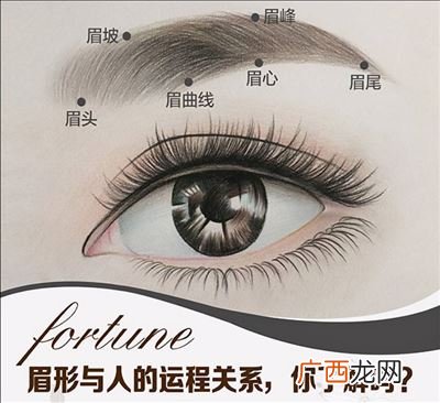 什么眉什么目,眉星剑目什么意思？