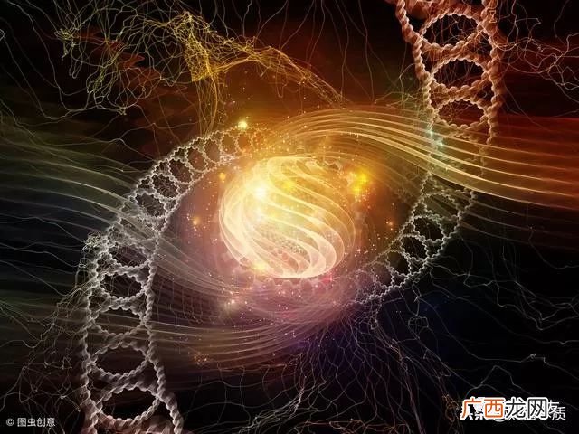 人的磁场是什么意思,人和人之间的磁场是相互吸引？