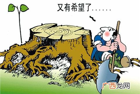 坐享其成的意思是什么,不劳而获坐享其成的人是怎样的？