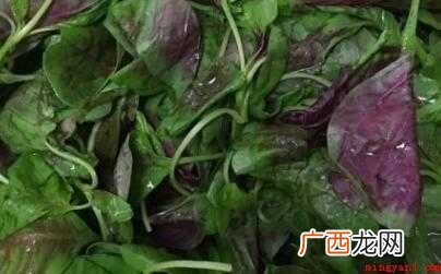 怎么炒汗菜