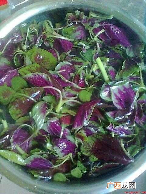 蔊菜怎么炒