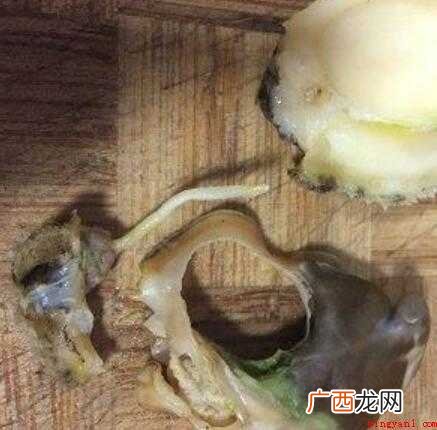 鲍鱼怎么清理