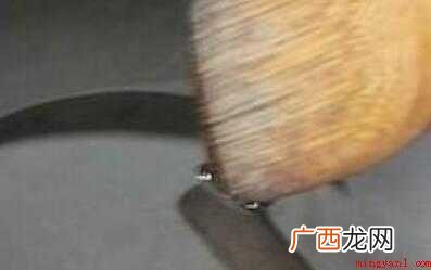 花生怎么炒脆