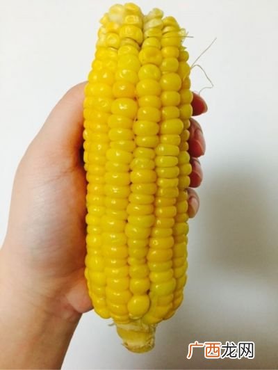 corn是什么意思,cornsilk是什么色？