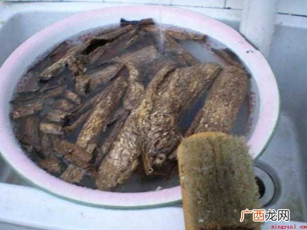 怎么炒杜仲