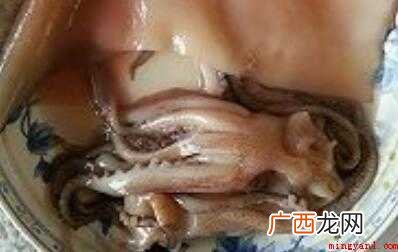 怎么炒鲜鱿鱼