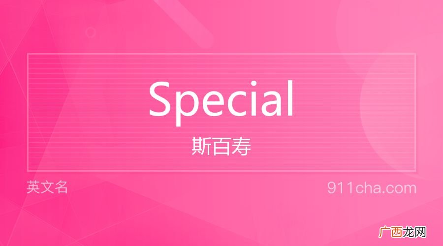 special是什么,日本多次签证备注special是什么意思？
