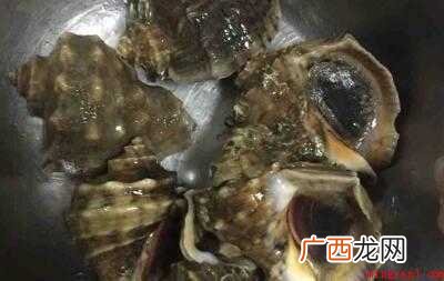 海螺怎么炒