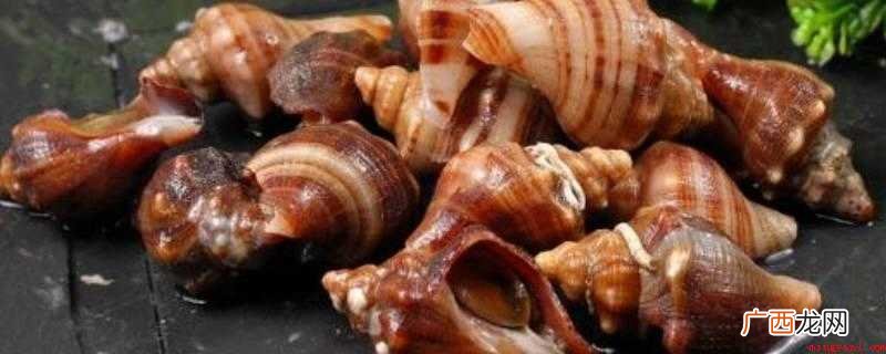 海螺怎么炒