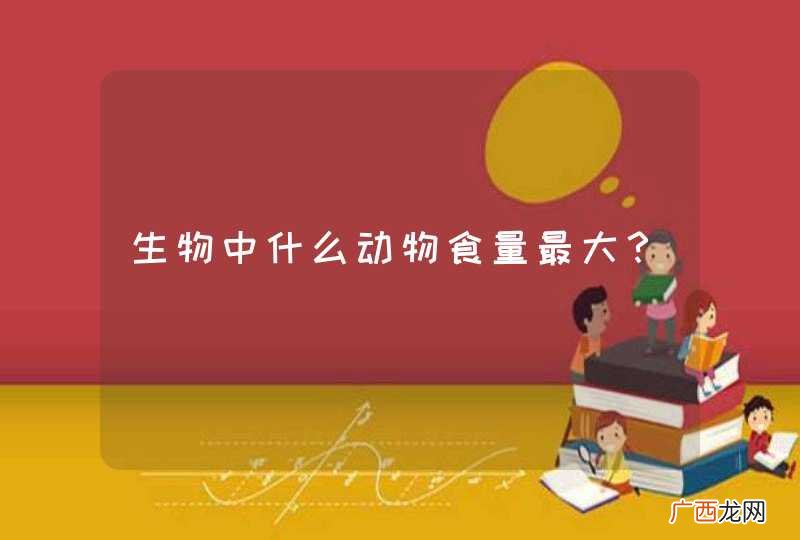 生物中什么动物食量最大？