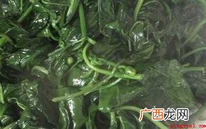 椒叶怎么炒
