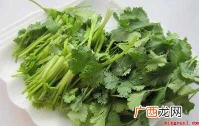 香菜炒羊肉怎么做