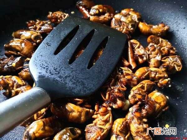 怎么炒蝉