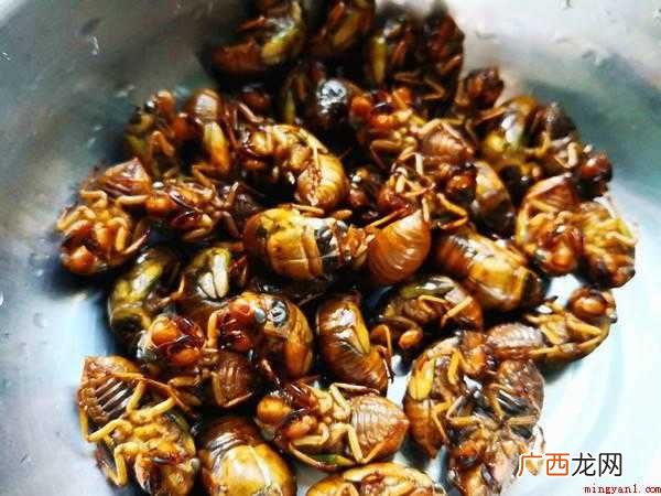 怎么炒蝉