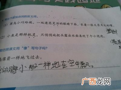 机灵的反义词是什么,聪明的近义词是什么？