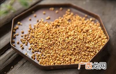 苦荞是什么,苦荞属于什么科的植物?