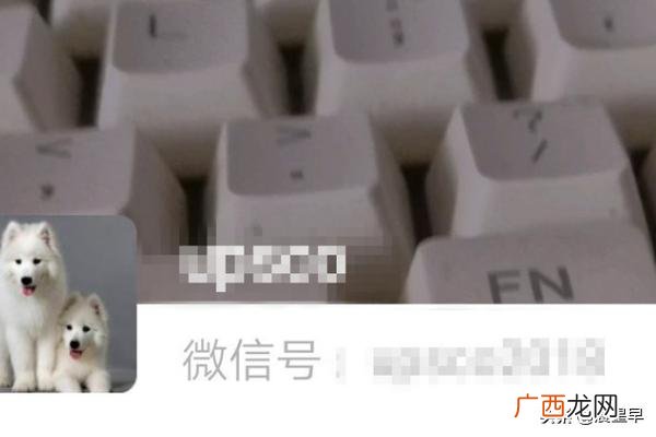 微信拍了拍是什么意思,微信下拉拍一个视频动态怎么玩怎么删除？